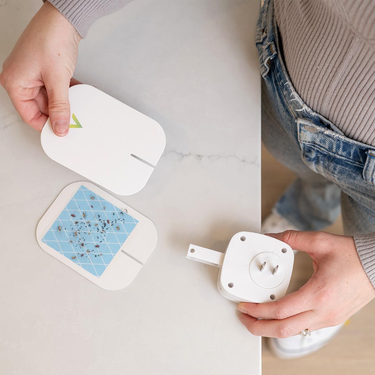 INDOOR BUG TRAP