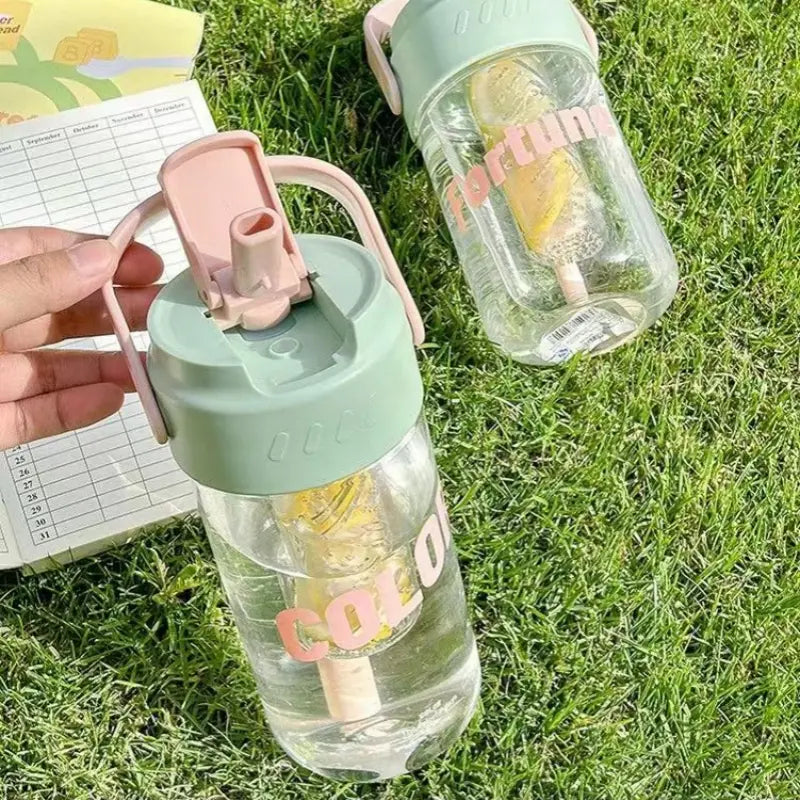 FRUIT INFUSER BOTTLE